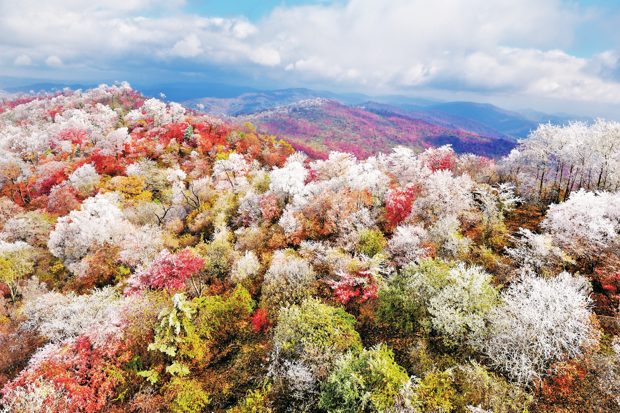 白山市：逐秋賞紅慶豐收