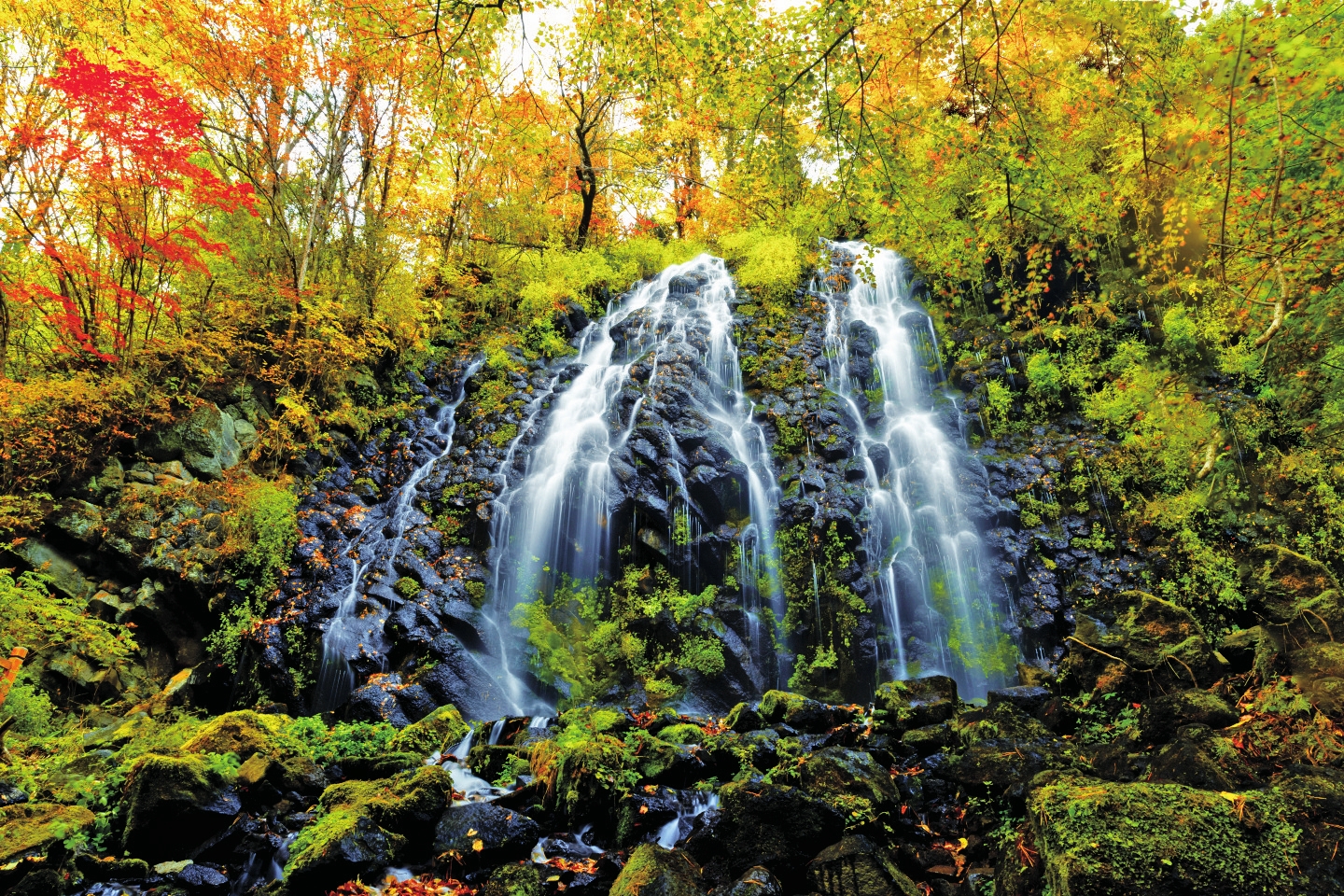 白山市：逐秋賞紅慶豐收