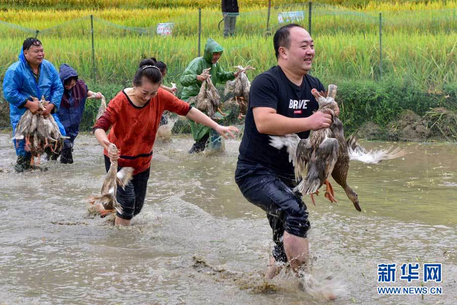 湖北蕲春：农民丰收节“农味”浓