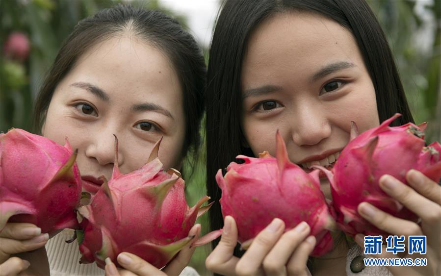 陕西华州：发展特色农业促增收