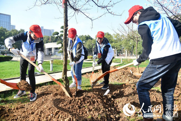 武汉：百万市民义务植树 全力打造生态绿城