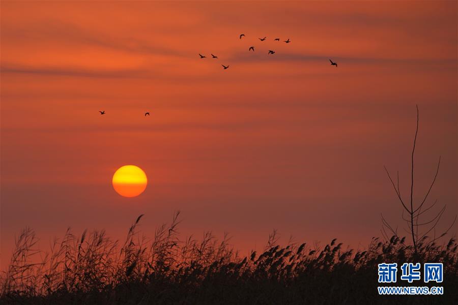 河北白洋淀日出