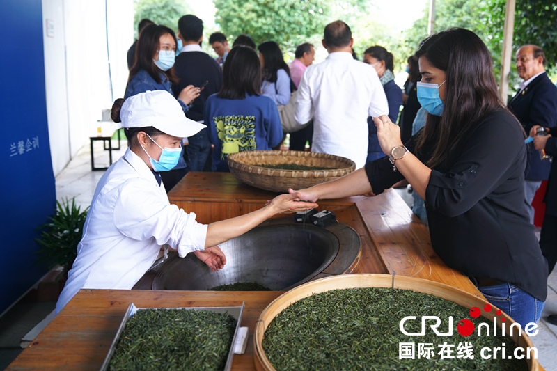 （有修改）拉美驻华使团：点赞中国减贫奇迹中的“贵州经验”