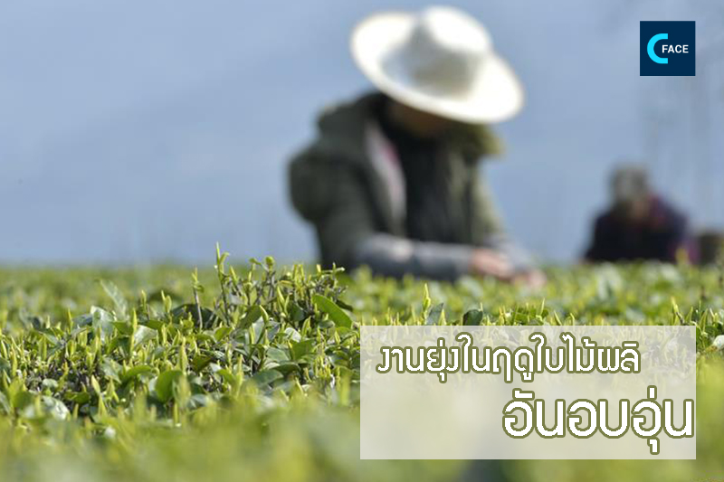 图片默认标题_fororder_04_2