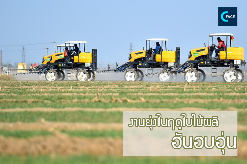 图片默认标题_fororder_04_3