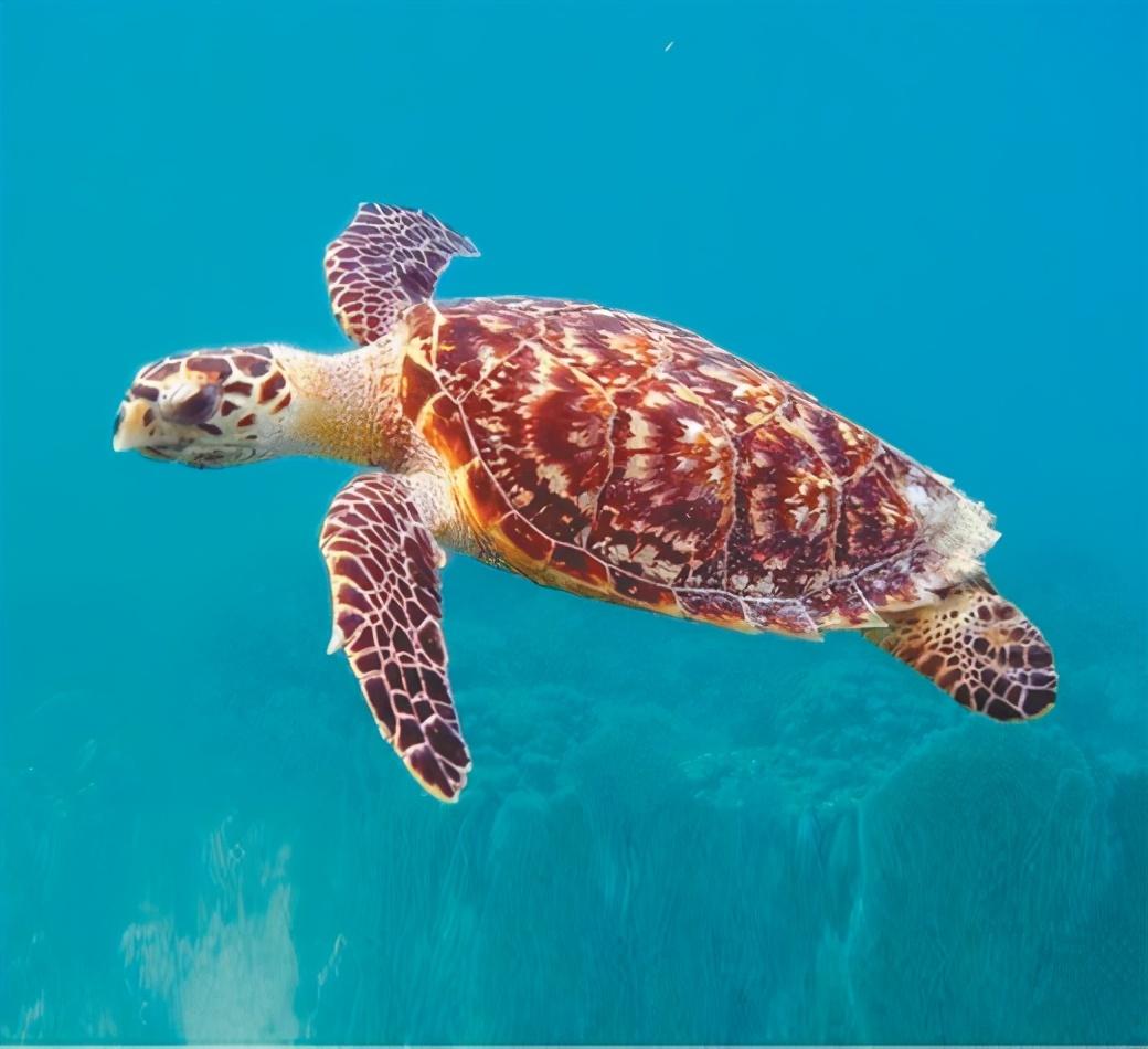 打造向海经济 建设海洋强区