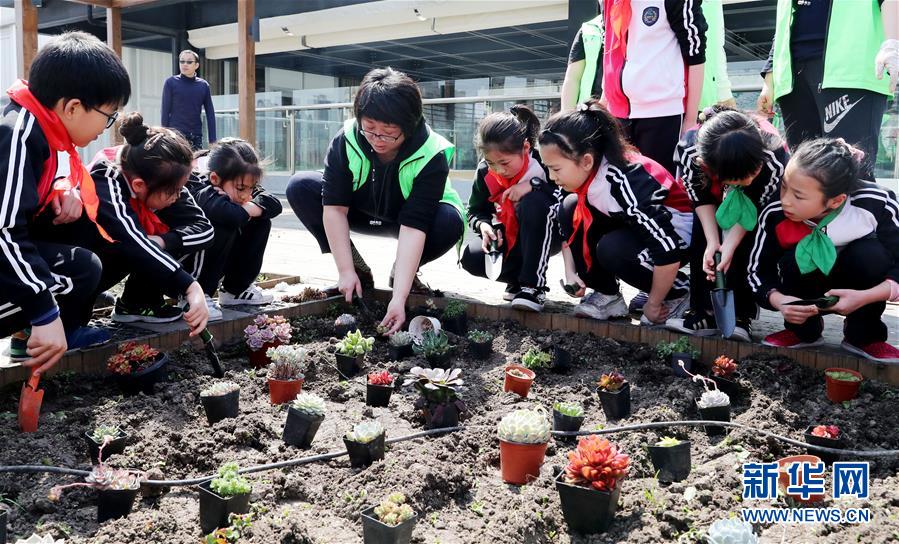 厨余垃圾变身肥料 屋顶农场种下绿色