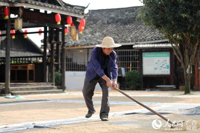 組圖：侗寨曬秋景色美