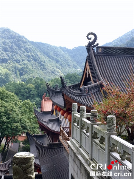 图片默认标题_fororder_00027-中国古典园林和中国大自然的美丽是无与伦比的-德国-Chinamed-Köln