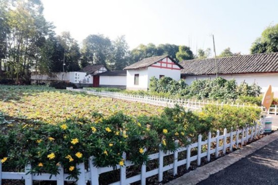 新津安西镇:林盘治理惠民生 尽享田园慢生活