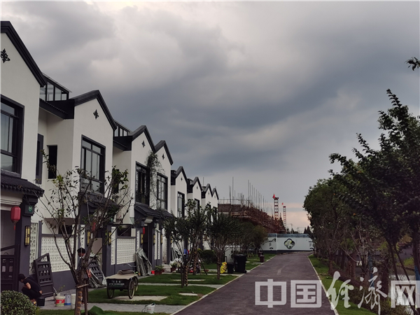 【潮涌长三角】乡村振兴上海样板 黄桥村打造新型农民社区