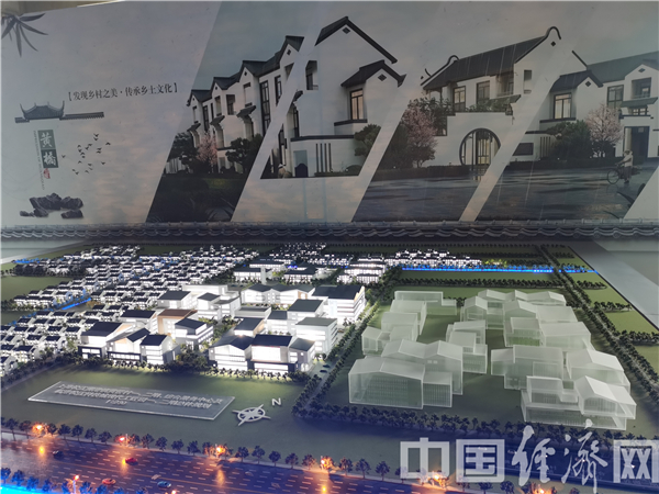 【潮涌长三角】乡村振兴上海样板 黄桥村打造新型农民社区