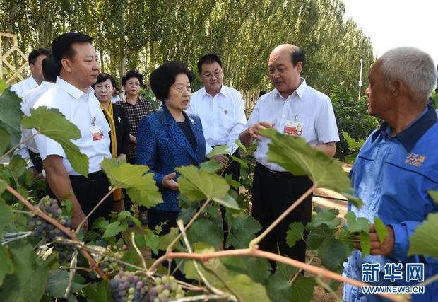 孫春蘭率中央代表團三分團赴烏海 阿拉善 錫林郭勒看望慰問各族幹部群眾