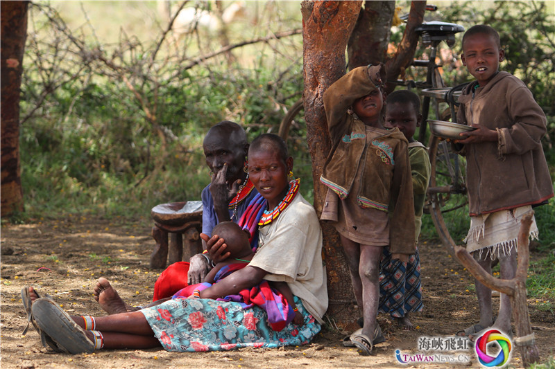 一家老小在树下纳凉