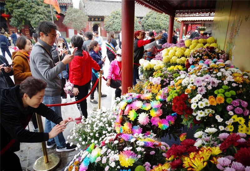 【B】【文末附合法稿源連結】開封菊花文化節:從開封“金縷衣”到國際“金名片”