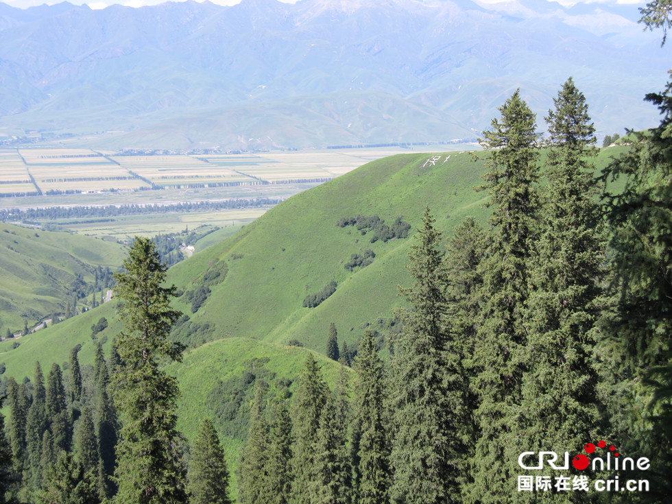 图片默认标题_fororder_00085- 我的中国行：新疆-尼日利亚-Salisu Dawanau-2_副本