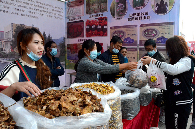 磐石市2020年“中國農民豐收節”暨取柴河蘑菇節開幕