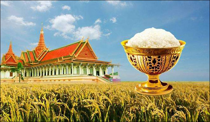 图片默认标题_fororder_20181207tgdm1