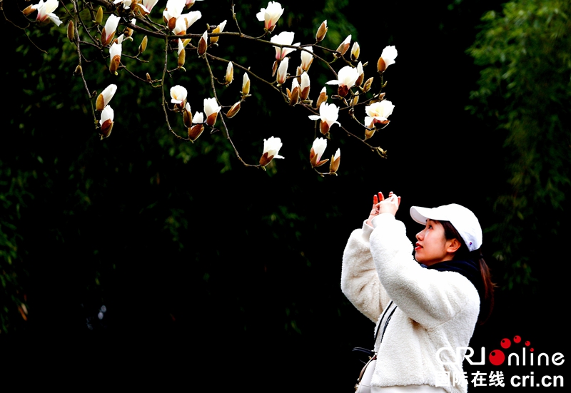 贵州大方：春雨润花开（组图）