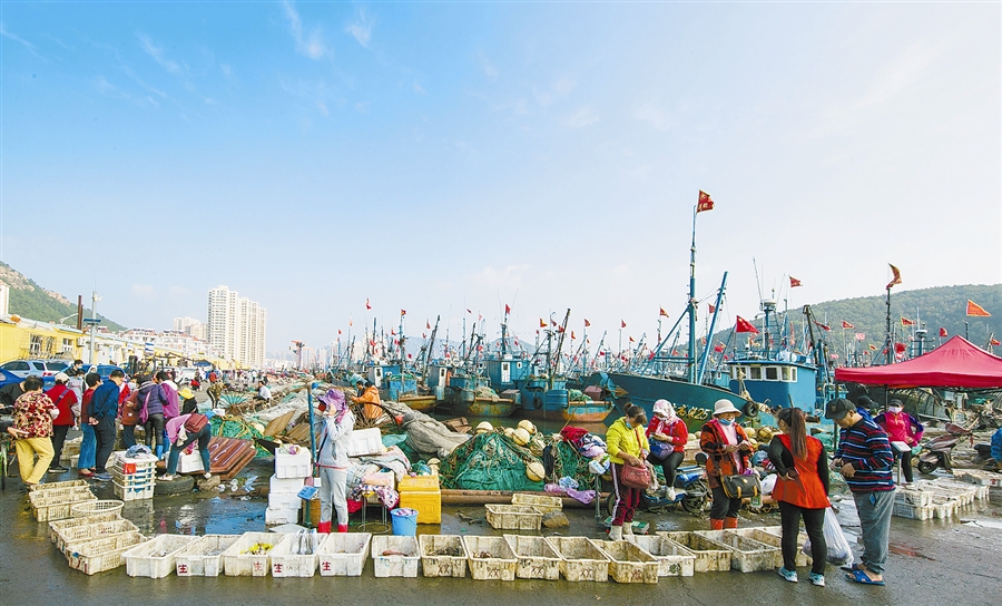 大连：品海