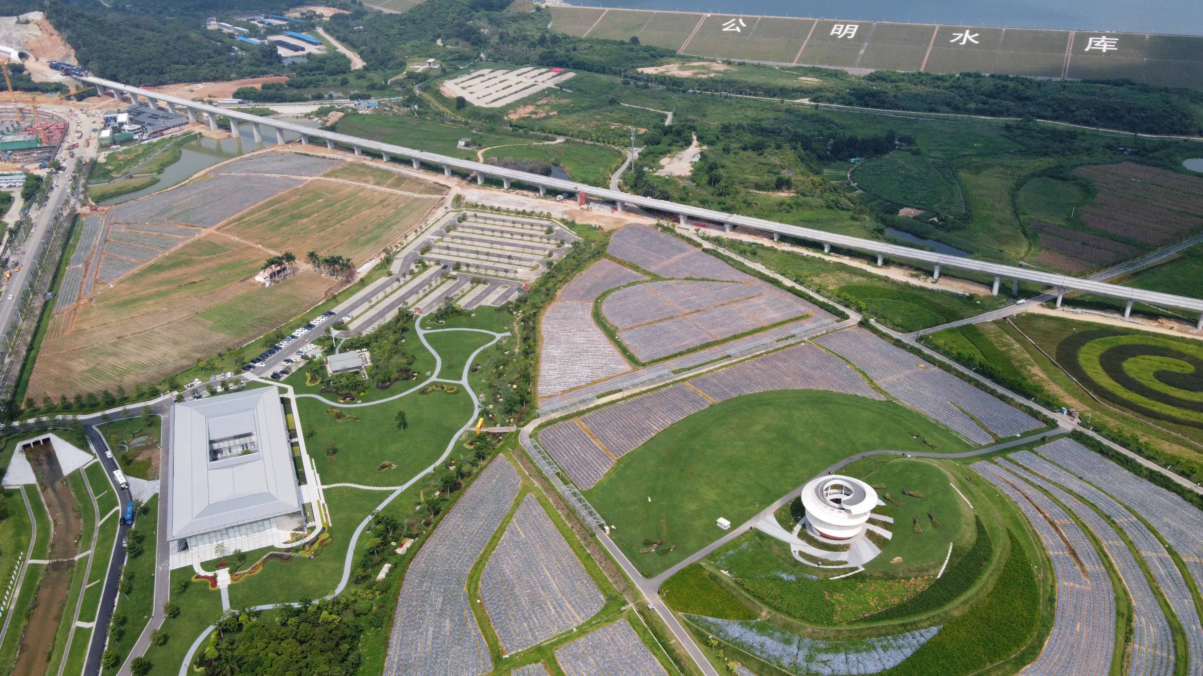 【经济特区40年@治理现代化】改革开放不停步！成为基因植根血脉和记忆中