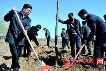 菏澤開展全民義務植樹活動