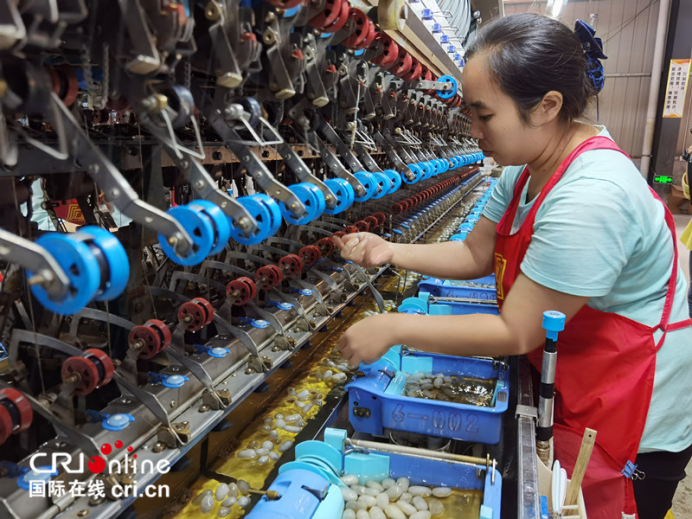 【A】广西那坡县：“产业+消费”扶贫 日子越过越红火