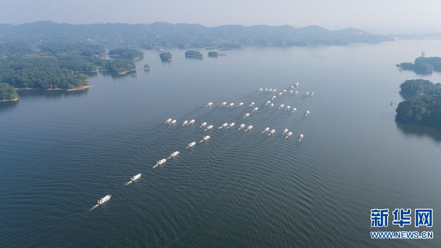 【城市遠洋】河南信陽：魚躍歡騰唱響豐收之歌