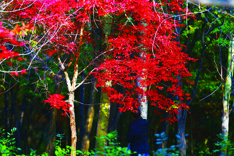 祝您中秋、國慶快樂！
