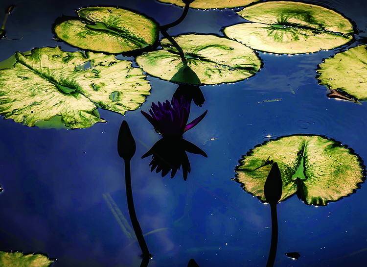 长春南湖公园：游船、水幕灯光秀、科普馆