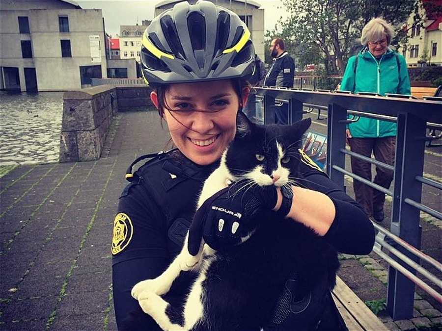 美女骑警与猫咪合影。