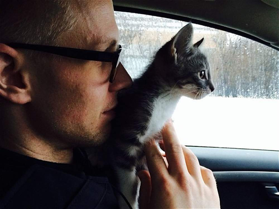 警车内的小猫,超有爱,有没有?