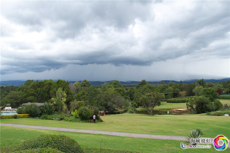 不识庐山“肯山”面目。 (王新俊 摄)