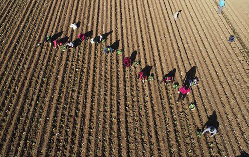 图片默认标题_fororder_20190315-chunji-6