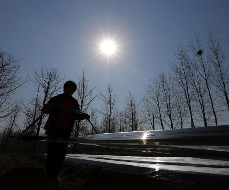 图片默认标题_fororder_20190315-chunji-5