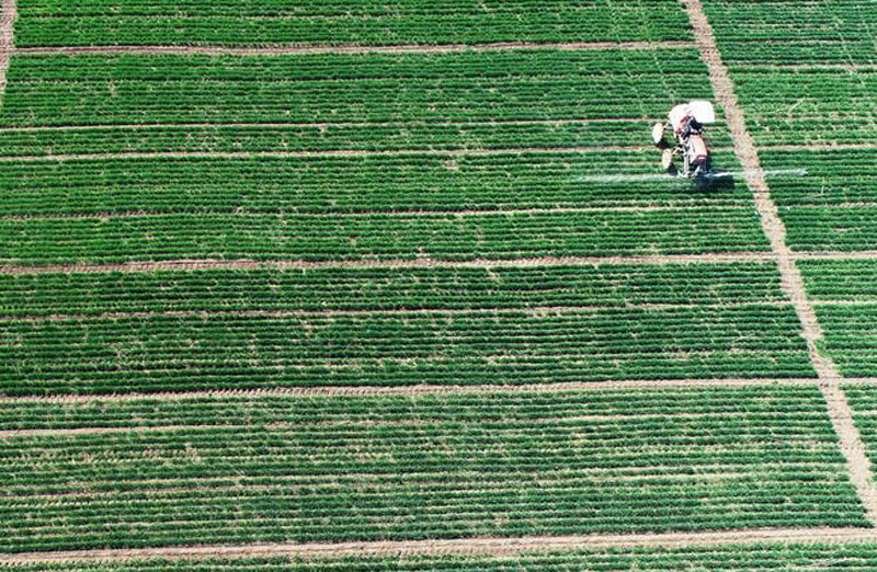 图片默认标题_fororder_20190315-chunji-4