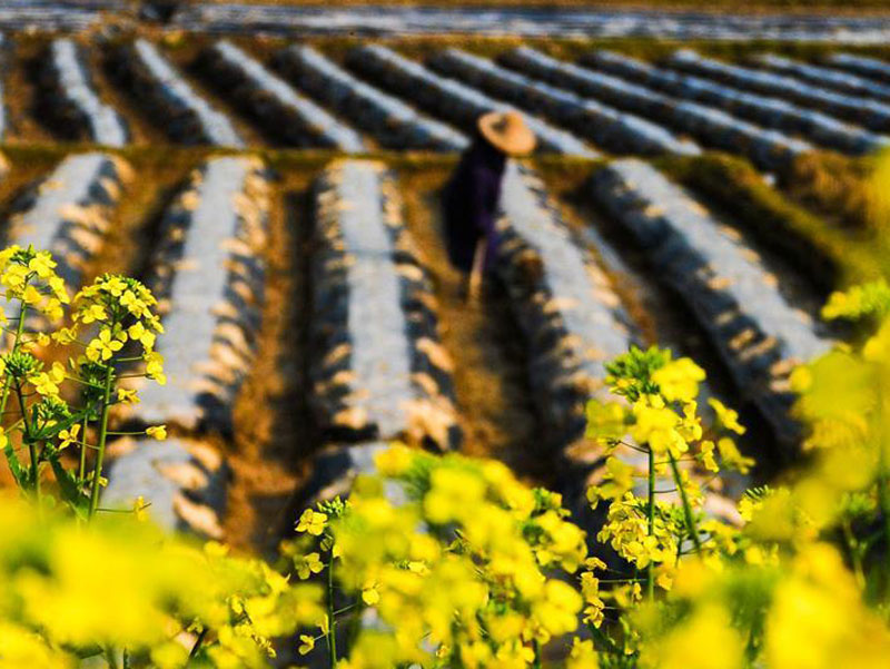 图片默认标题_fororder_20190315-chunji-1