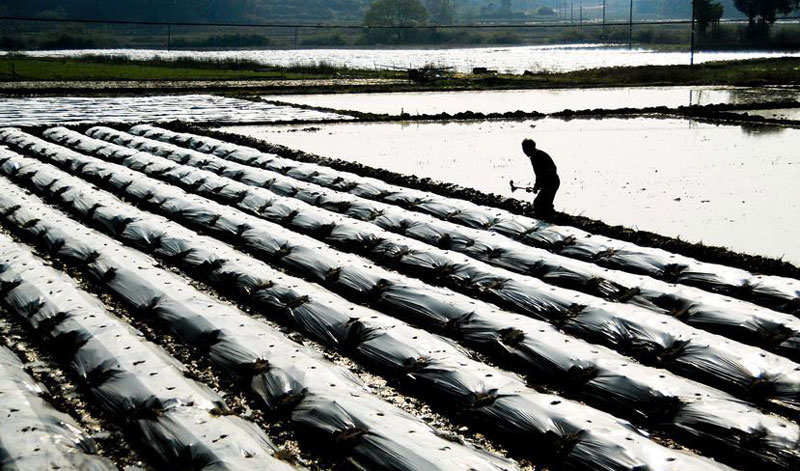 图片默认标题_fororder_20190315-chunji-2