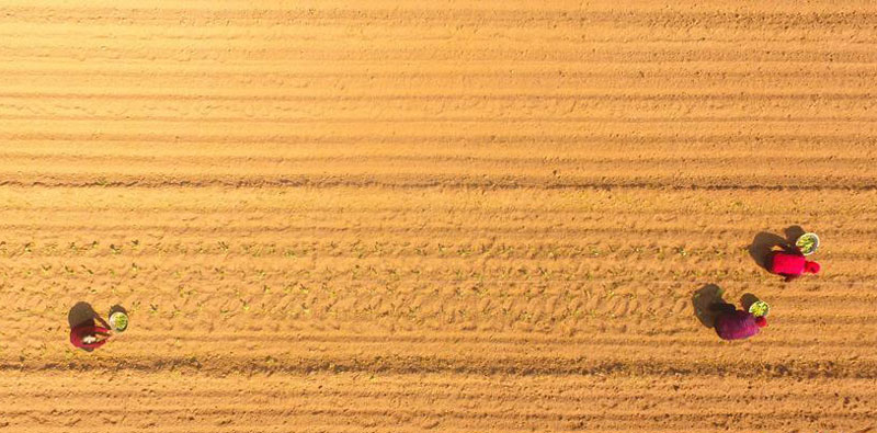 图片默认标题_fororder_20190315-chunji-8