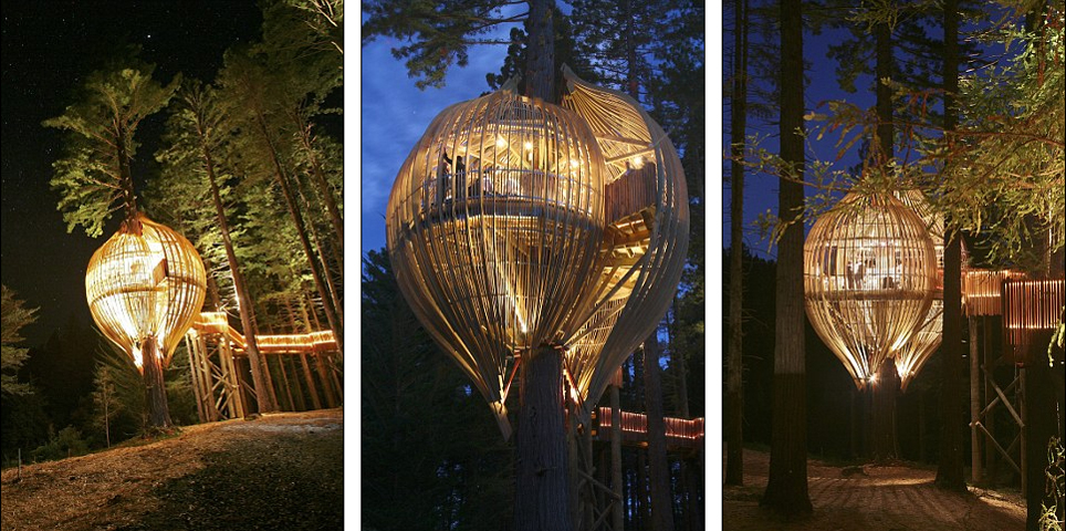 “红木树屋餐厅”的外观看上去如蝶蛹,附在树干上。