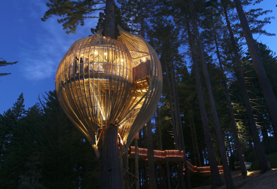 新西兰奥克兰市的“红木树屋餐厅”坐落于一棵高40米,直径1.7米的红杉树上