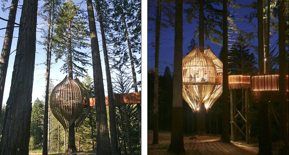 在这里用餐,感觉如同走进电影《阿凡达》中的场景,神秘、静谧、令人难忘。