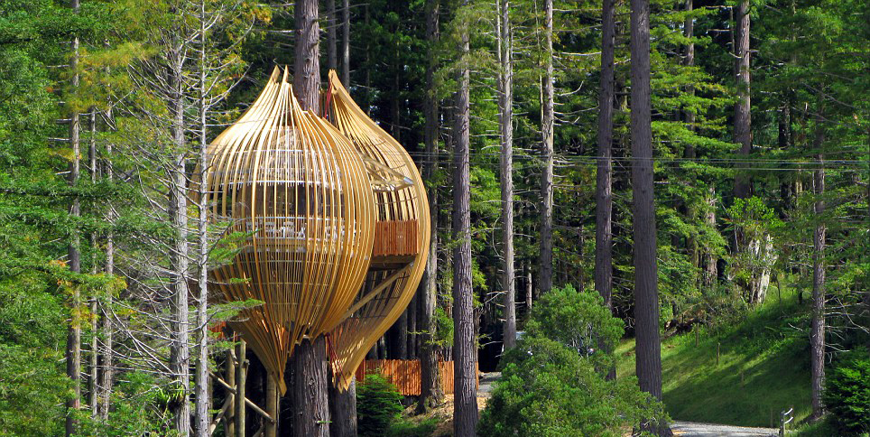 餐厅距地面约10米高。顾客如需用餐,需先走过一条长60米由红衫木铺成的通道。