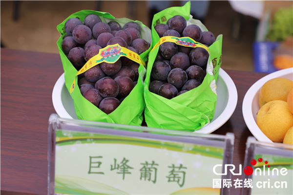 开创葡萄产业振兴发展之路 2020中国•北镇农民丰收节暨北镇葡萄季活动举办