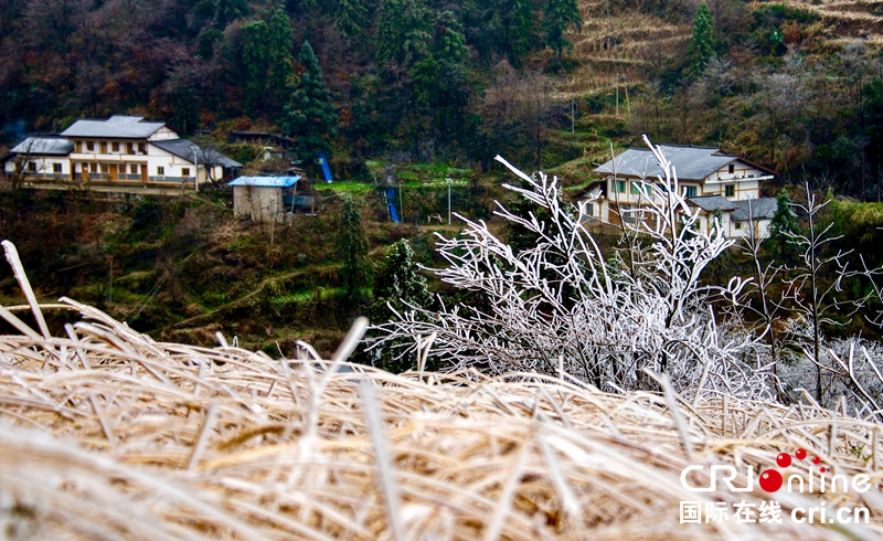 （急稿）贵州务川：山乡冬日美景（组图）