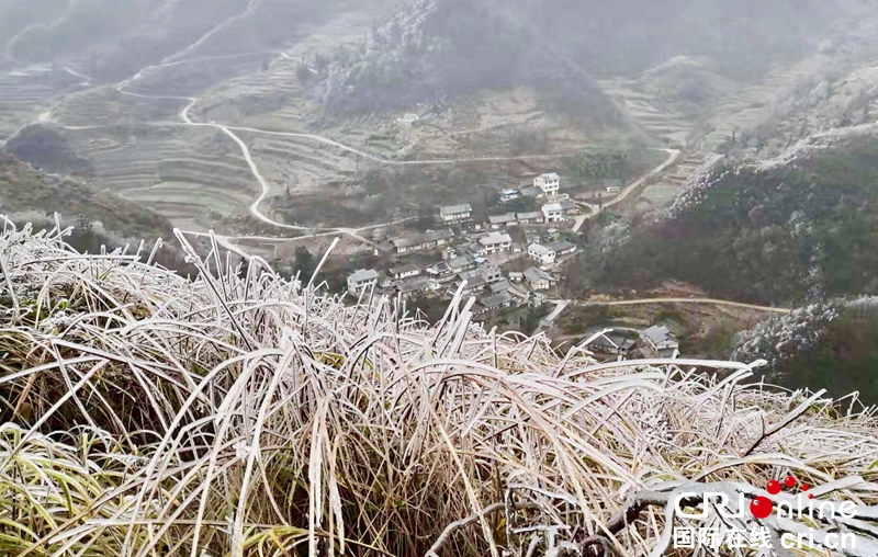 （急稿）贵州务川：山乡冬日美景（组图）