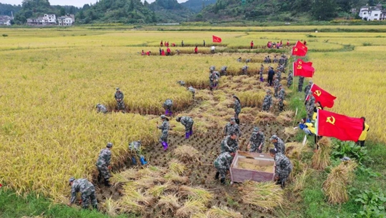 （有修改）貴州貴定：志願者助農搶收忙