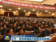 【支持民营企业在行动】辽宁：系列举措助力民营企业发展