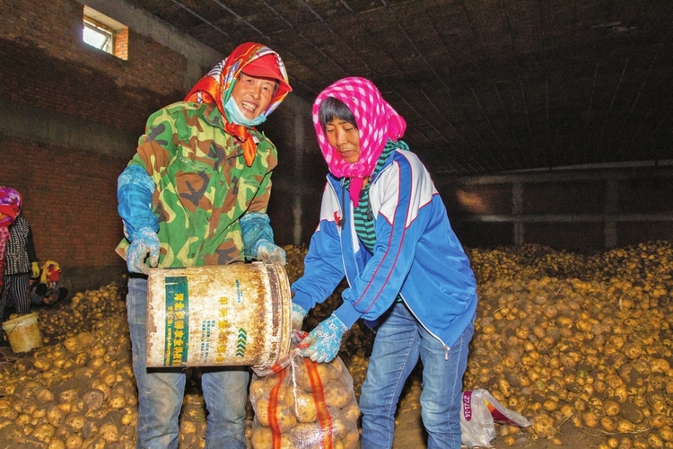 為了大地的豐收——吉林省松原市推進秋收工作紀實