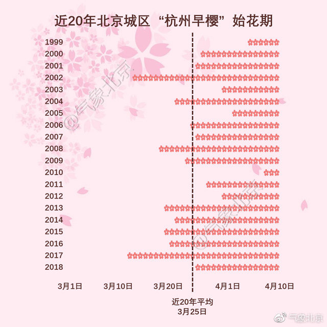 2019年北京城區第一朵櫻花將在3月18日左右開放